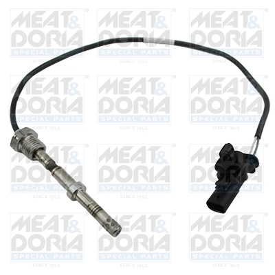 Sensor, exhaust gas temperature